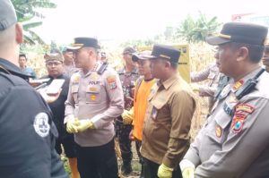 Banyuwangi Utara Panen Raya Jagung KPH Bersama Polresta Banyuwangi Dukung Swasembada Pangan Nasional